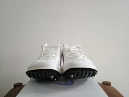 Dragonfly 2 - slika 2